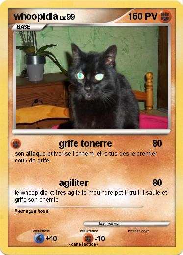Pokemon whoopidia