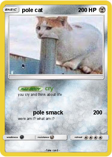 Pokemon pole cat