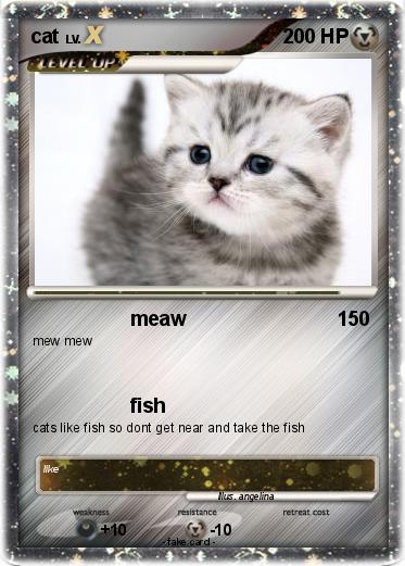 Pokemon cat