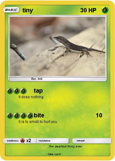 Pokemon tiny