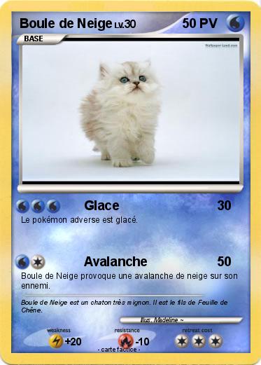 Pokemon Boule de Neige