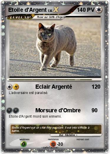 Pokemon Etoile d'Argent