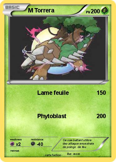 Pokemon M Torrera