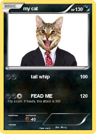 Pokemon my cat