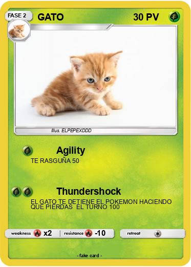 Pokemon GATO