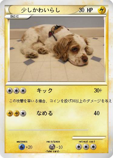 Pokemon 少しかわいらし