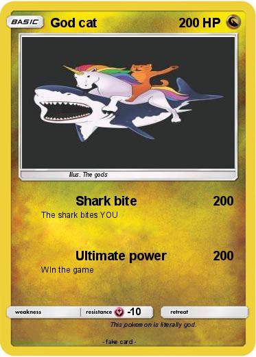 Pokemon God cat