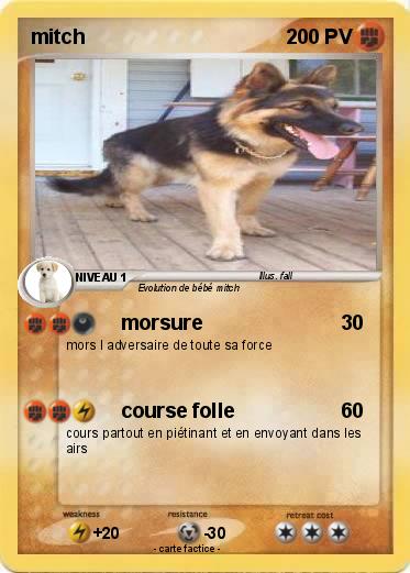 Pokemon mitch
