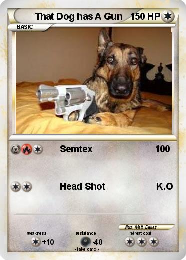 Pokemon That Dog has A Gun