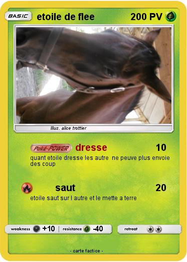 Pokemon etoile de flee