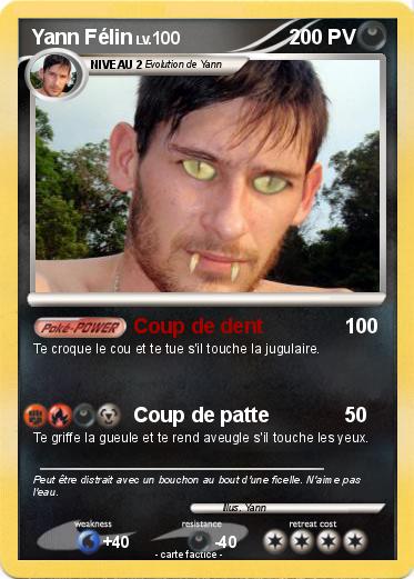 Pokemon Yann Félin