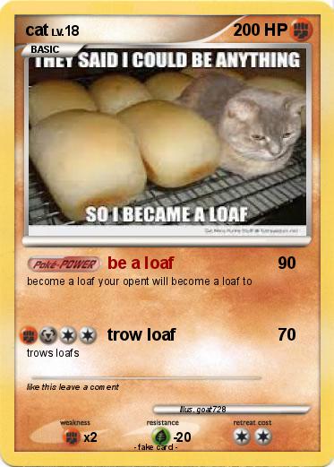 Pokemon cat