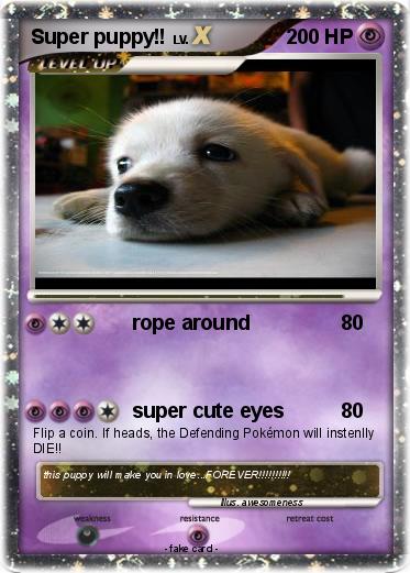 Pokemon Super puppy!!