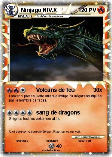 Pokemon Ninjago NIV.X