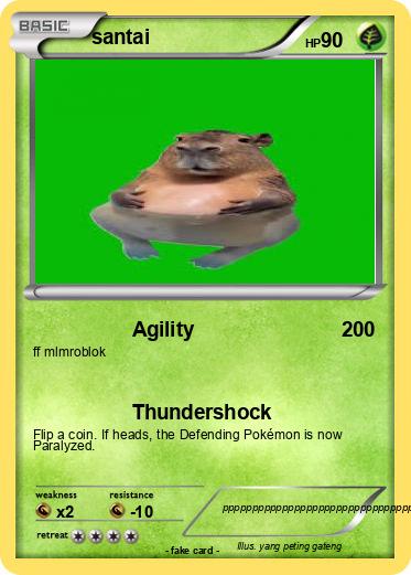 Pokemon santai