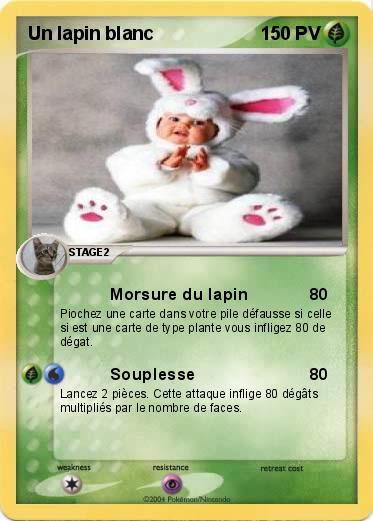 Pokemon Un lapin blanc