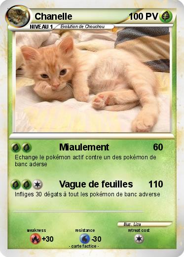 Pokemon Chanelle