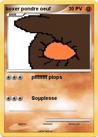 Pokemon boxer pondre oeuf