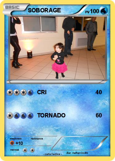 Pokemon SOBORAGE