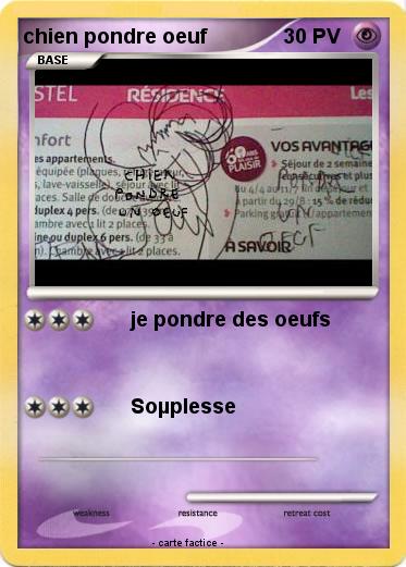 Pokemon chien pondre oeuf