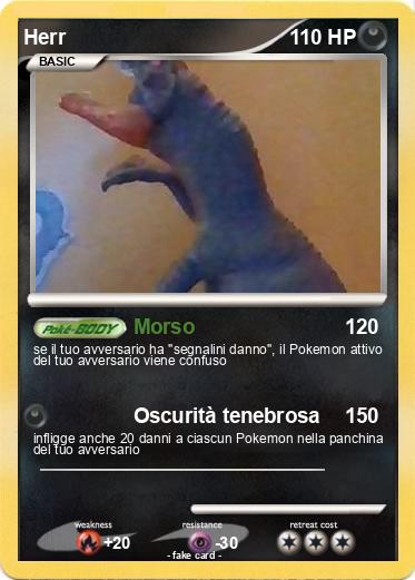 Pokemon Herr