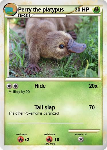 Pokemon Perry the platypus