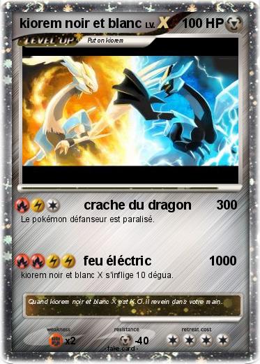 Pokemon kiorem noir et blanc