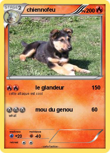 Pokemon chiennofeu