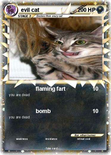 Pokemon evil cat