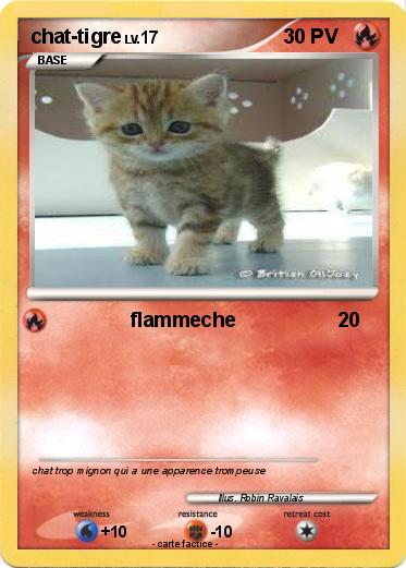 Pokemon chat-tigre