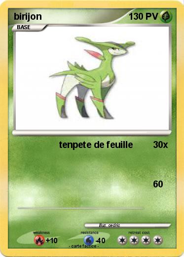 Pokemon birijon