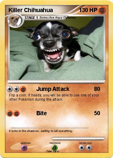 Pokemon Killer Chihuahua