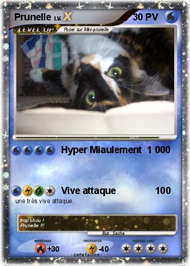 Pokemon Prunelle