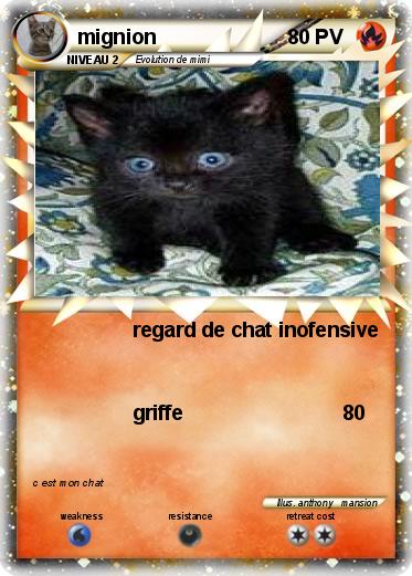 Pokemon mignion