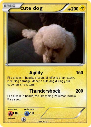 Pokemon cute dog