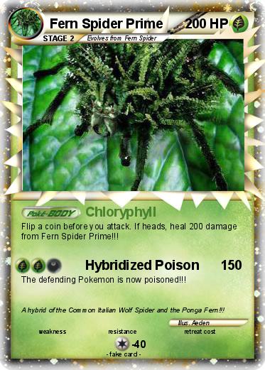 Pokemon Fern Spider Prime