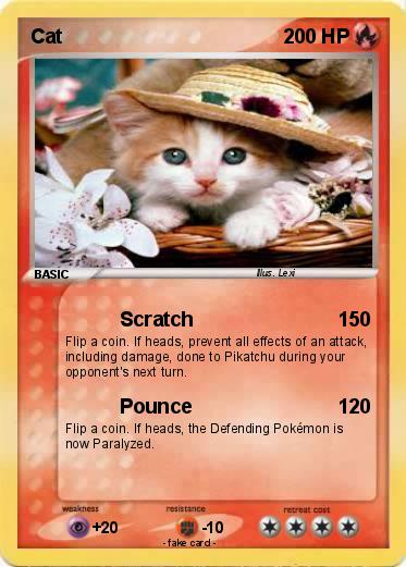Pokemon Cat