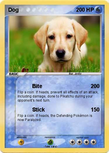 Pokemon Dog