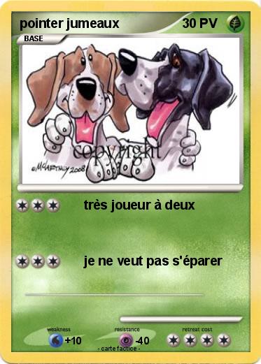 Pokemon pointer jumeaux