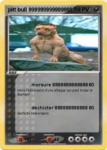 Pokemon pitt bull 999999999999999