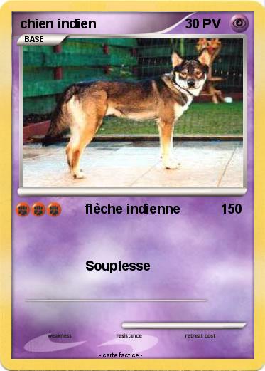 Pokemon chien indien
