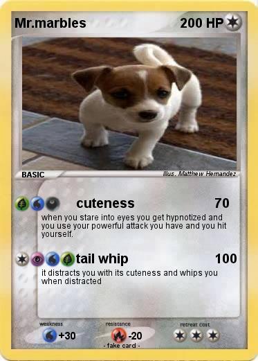 Pokemon Mr.marbles