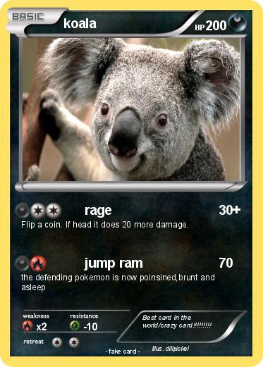 Pokemon koala