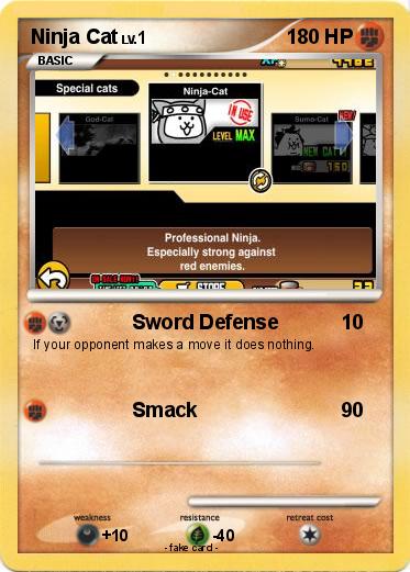 Pokemon Ninja Cat