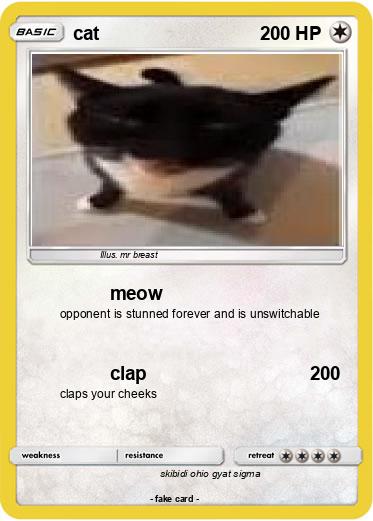 Pokemon cat