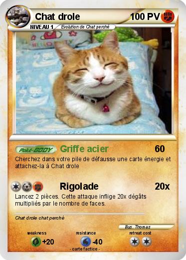 Pokemon Chat drole