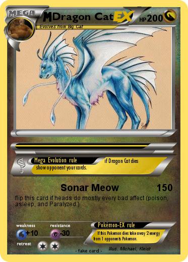 Pokemon Dragon Cat