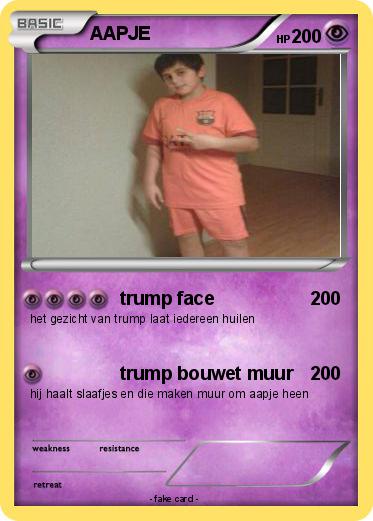 Pokemon AAPJE