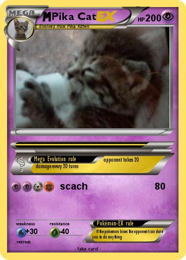 Pokemon Pika Cat