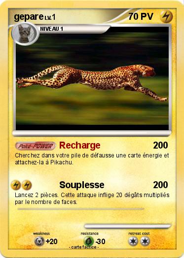 Pokemon gepare